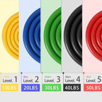 Complete Full-Body Resistance Training Kit