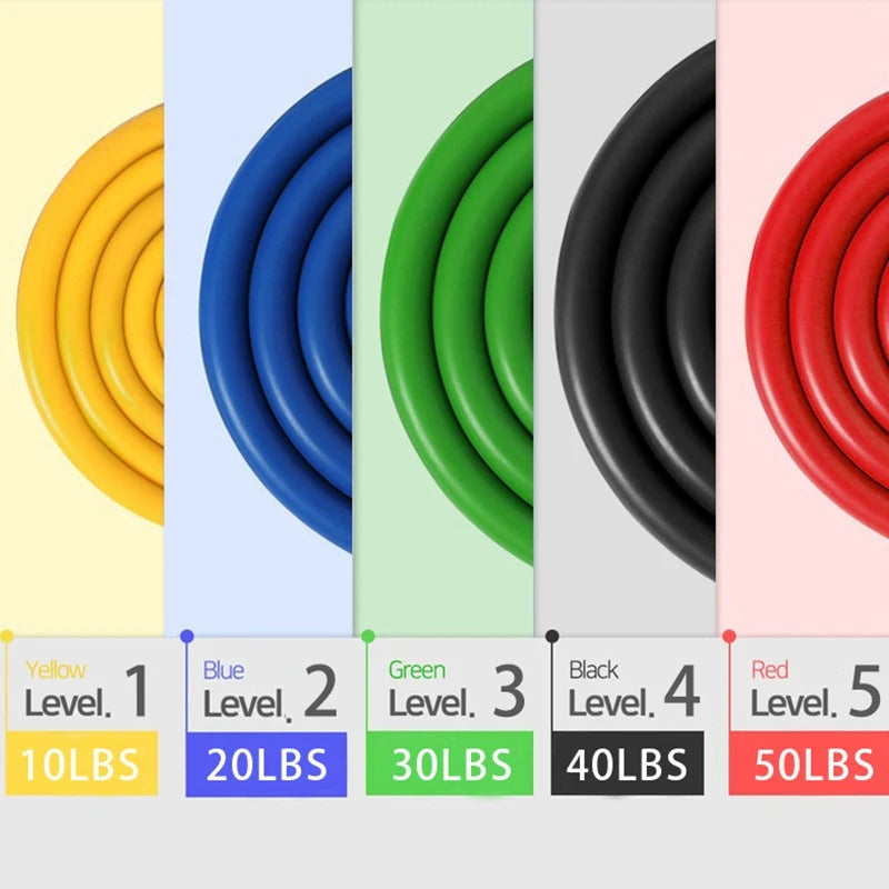 Complete Full-Body Resistance Training Kit