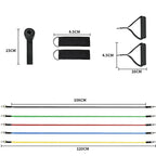 Complete Full-Body Resistance Training Kit