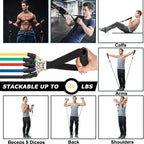 Complete Full-Body Resistance Training Kit